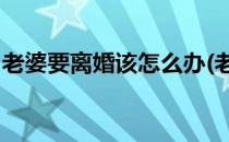 老婆要离婚该怎么办(老婆要离婚,该怎么办理)