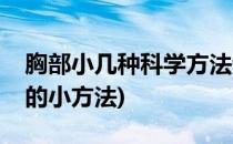 胸部小几种科学方法让胸部变大(使胸部变大的小方法)
