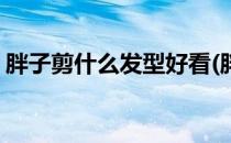 胖子剪什么发型好看(胖子剪什么发型好看女)