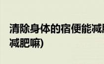 清除身体的宿便能减肥!!!(清除身体的宿便,能减肥嘛)