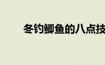 冬钓鲫鱼的八点技巧(怎样冬钓鲫鱼)