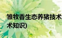 雏牧香生态养猪技术特点及方法(养殖香猪技术知识)