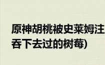 原神胡桃被史莱姆注入怎么看(原神被史莱姆吞下去过的树莓)