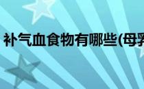 补气血食物有哪些(母乳期补气血食物有哪些)