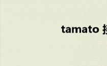 tamato 接4G 设置