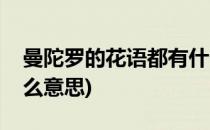 曼陀罗的花语都有什么(曼陀罗的花语都有什么意思)
