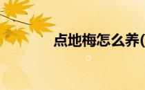 点地梅怎么养(点地梅好养吗)