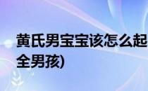 黄氏男宝宝该怎么起名字呢(黄氏宝宝名字大全男孩)