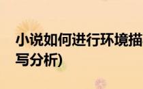 小说如何进行环境描写(小说如何进行环境描写分析)
