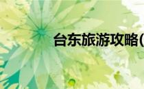 台东旅游攻略(台南旅游攻略)