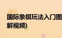 国际象棋玩法入门图解(国际象棋玩法入门图解视频)