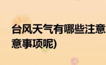 台风天气有哪些注意事项(台风天气有哪些注意事项呢)