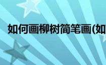 如何画柳树简笔画(如何画柳树简笔画步骤)