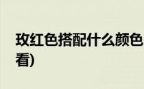 玫红色搭配什么颜色(玫红色搭配什么颜色好看)