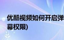 优酷视频如何开启弹幕(优酷视频如何开启弹幕权限)