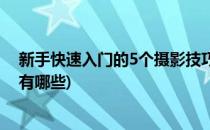 新手快速入门的5个摄影技巧(新手快速入门的5个摄影技巧有哪些)