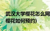 武汉大学樱花怎么网上预约赏樱(武汉大学赏樱花如何预约)