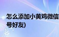 怎么添加小黄鸡微信号(怎么添加小黄鸡微信号好友)