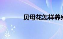 贝母花怎样养殖(贝母花种植)