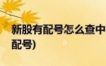 新股有配号怎么查中签号(打新股怎么查中签配号)