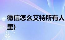 微信怎么艾特所有人(微信怎么艾特所有人群里)