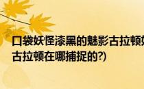 口袋妖怪漆黑的魅影古拉顿如何得(口袋妖怪漆黑的魅影5.0古拉顿在哪捕捉的?)