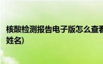 核酸检测报告电子版怎么查看(核酸检测报告电子版怎么查看姓名)