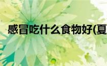 感冒吃什么食物好(夏天感冒吃什么食物好)