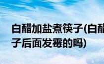 白醋加盐煮筷子(白醋加盐煮筷子可以消除筷子后面发霉的吗)