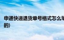 申通快递退货单号格式怎么填(申通快递退货单号格式怎么填的)