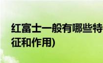红富士一般有哪些特征(红富士一般有哪些特征和作用)