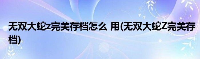 无双大蛇z完美存档怎么 用(无双大蛇Z完美存档)