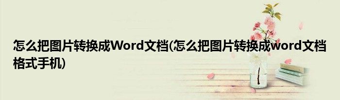 怎么把图片转换成Word文档(怎么把图片转换成word文档格式手机)