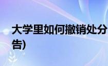 大学里如何撤销处分(大学里如何撤销处分报告)