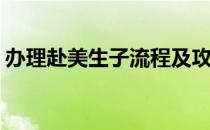 办理赴美生子流程及攻略是什么(去生子手续)