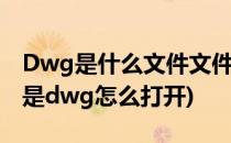 Dwg是什么文件文件打开的方法是什么(文件是dwg怎么打开)
