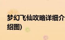 梦幻飞仙攻略详细介绍(梦幻飞仙攻略详细介绍图)