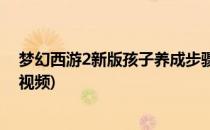 梦幻西游2新版孩子养成步骤(梦幻西游2新版孩子养成步骤视频)