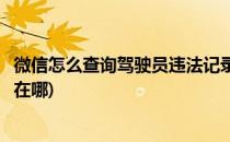 微信怎么查询驾驶员违法记录(微信怎么查询驾驶员违法记录在哪)
