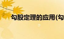 勾股定理的应用(勾股定理的应用教案)