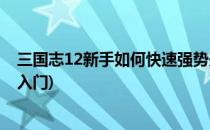 三国志12新手如何快速强势开局攻略(三国志12怎么玩新手入门)