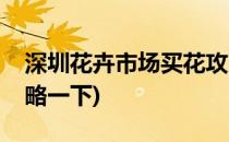 深圳花卉市场买花攻略(深圳花卉市场买花攻略一下)