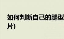 如何判断自己的腿型(如何判断自己的腿型图片)