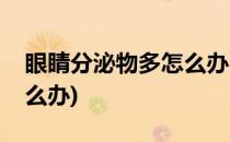 眼睛分泌物多怎么办(小猫咪眼睛分泌物多怎么办)