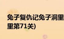 兔子复仇记兔子洞里攻略(兔子复仇记兔子洞里第71关)