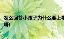 怎么回答小孩子为什么要上学(怎么回答小孩子为什么要上学呀)
