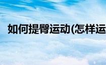 如何提臀运动(怎样运动可以提臀训练方法)