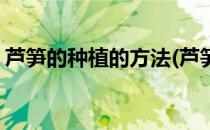 芦笋的种植的方法(芦笋的种植的方法和条件)