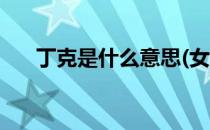丁克是什么意思(女人丁克是什么意思)