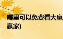 哪里可以免费看大赢家电影(免费观看电影大赢家)